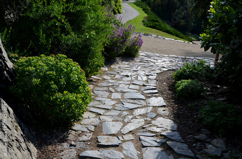 a garden of a shady nature by a stream flowing into a paved stream flowing through a bed of perennials. undergrowth perennials into a wet spring. rocky outcrop with ferns photo