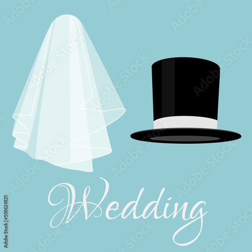 White bride veil and groom black cylinder