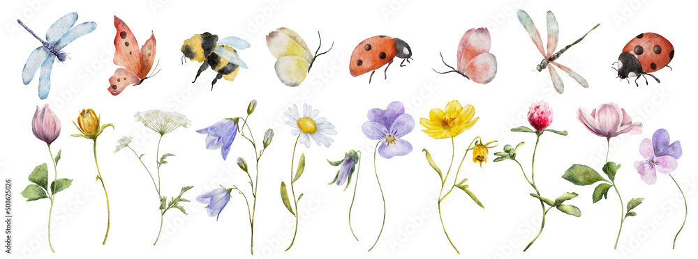 wildflowers watercolor botanical illustration with butterfly and dragonfly - obrazy, fototapety, plakaty 