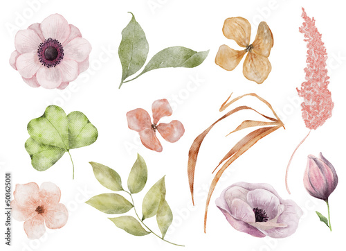 Valokuvatapetti Watercolor anemone flowers and leaves hand drawn illustration