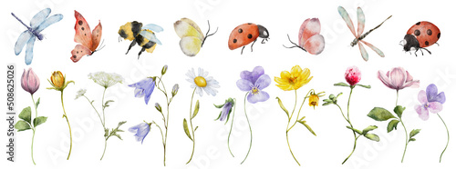 Fotografie, Obraz wildflowers watercolor botanical illustration with butterfly and dragonfly