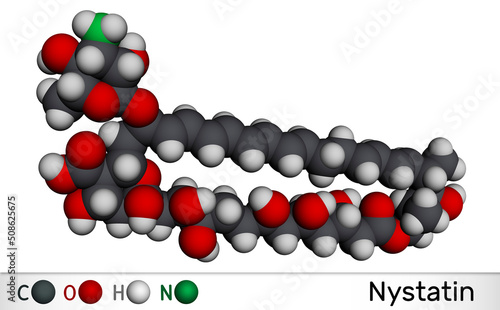 Nystatin molecule. It is polyene ionophore antifungal medication with fungicidal, fungistatic activity for treatment of Candida infections. Molecular model photo