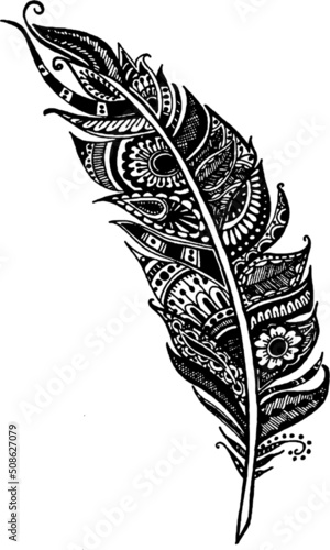 vector de pluma con diseño en su interior
