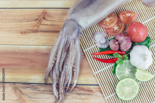 fresh squid with lemon and parsley, chilli,tomato,garlic,Shallots. Whiteraw squid seafood or fresh squid display for sale at wet market photo