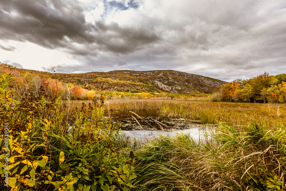 Fall in the Acadia National Park with colorful fall foliage and dramatic clouds