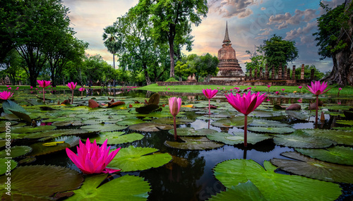 Fotografie, Obraz Beautiful pink water lily in the Sukhothai historical park in Thailand with old temple on background