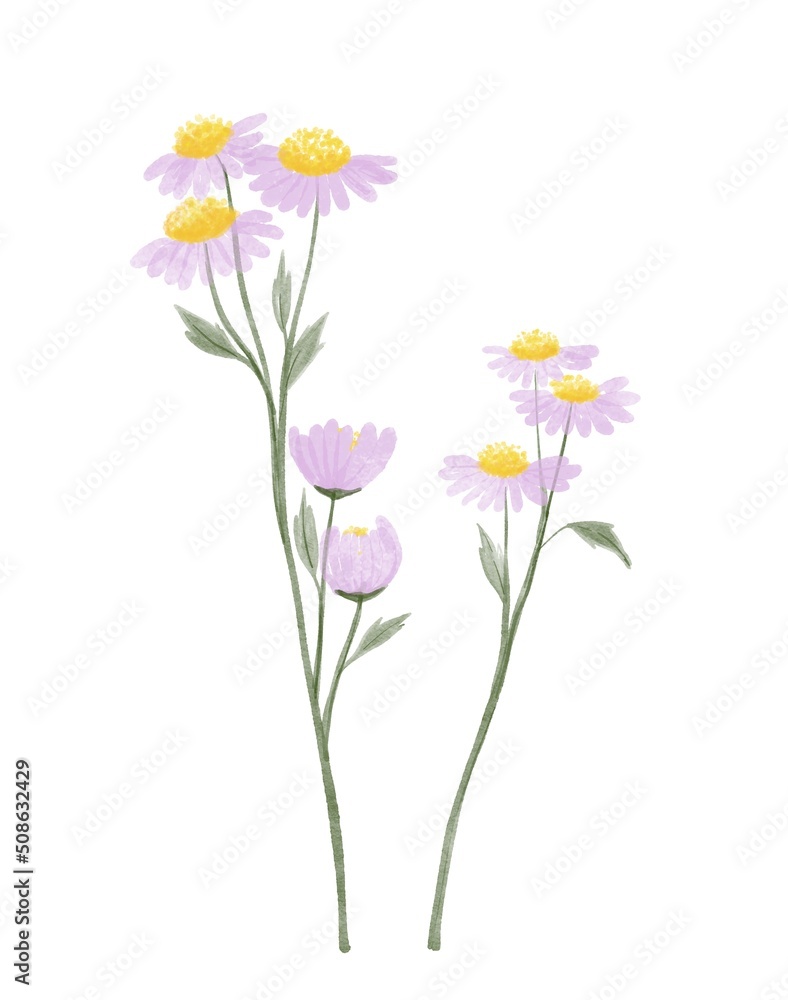 watercolor little flower with leaves isolated on white background for design decorative or invitation wedding card , illustration blooming botanical,print pattern watercolor little flower with leaves isolated on white background for design decorative or invitation wedding card , illustration blooming botanical,print pattern