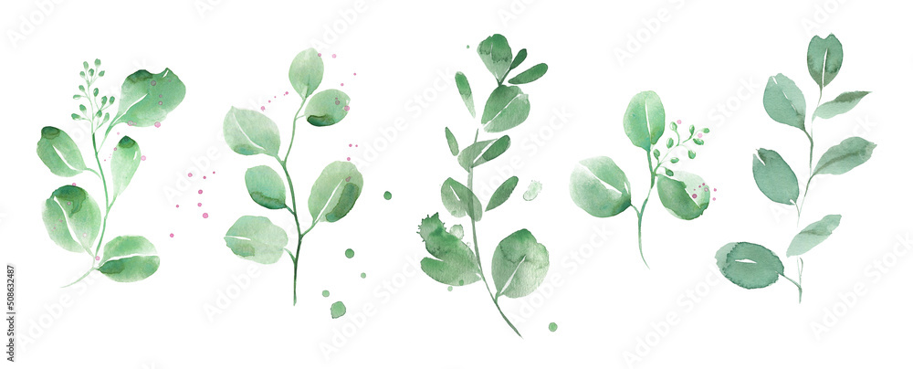Obraz Watercolor eucalyptus clipart. Emerald greenery. Retro style. fototapeta, plakat