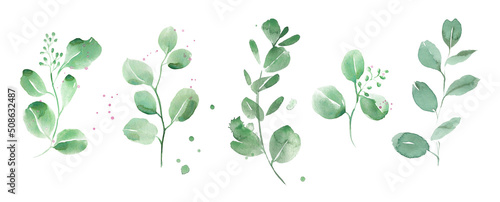 Fotografiet Watercolor eucalyptus clipart. Emerald greenery. Retro style.