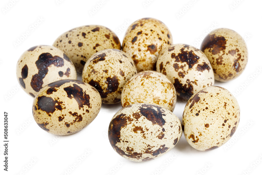 Group of quail eggs isolated on white background. Diet food. Group of quail eggs isolated on white background. Diet food.