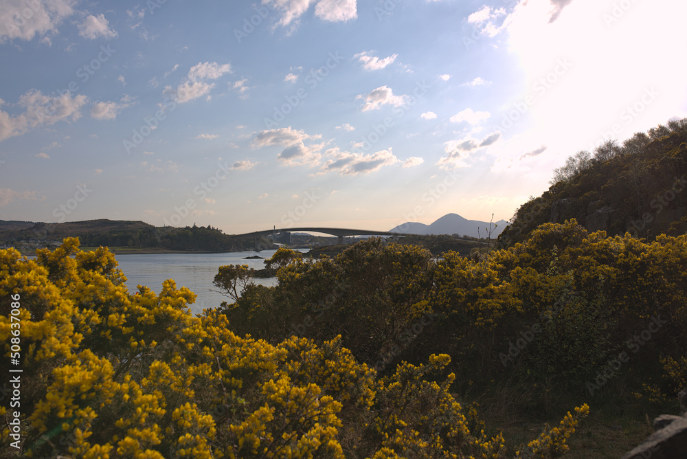 bridge over distant lake