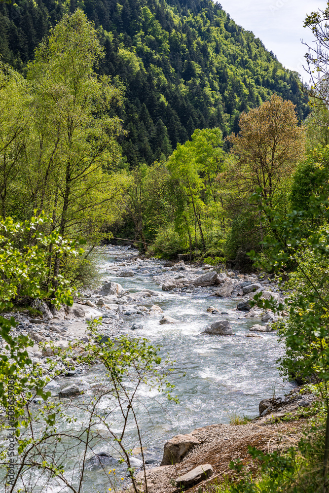 Rivière de La Séveraisse au niveau du village de Villar-Loubière au printemps dans la Vallée du Valgaudemar