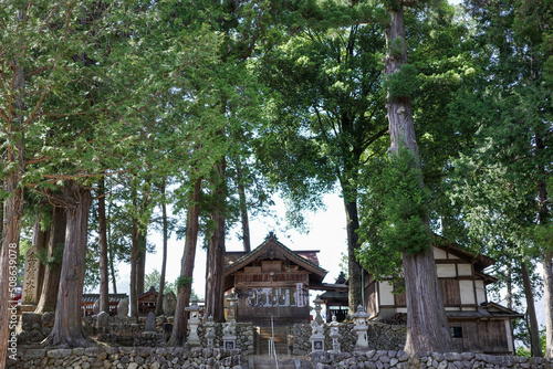 新緑の木々と神社