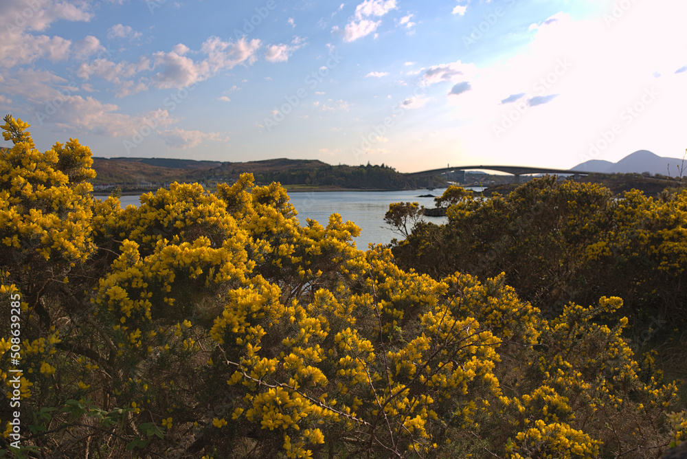 landscape with lake