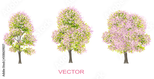 Vector watercolor blooming flower tree side view isolated on white background for landscape and architecture drawing, elements for environment and garden,botanical elements