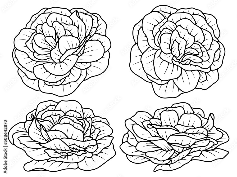 Hand drawn flower sketch line art illustration set Hand drawn flower sketch line art illustration set