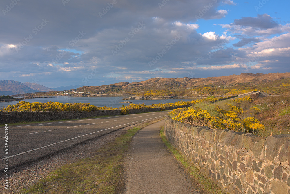 road in the mountains with Scottish gorse plants