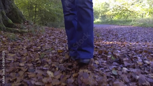 Young girl walking in Savernake Forest - England photo