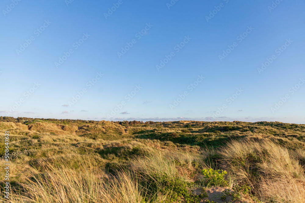 Sand dunes beside Formby beach, England, UK