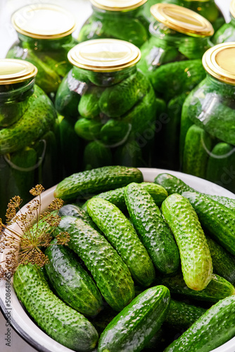 Preservation of fresh home cucumbers in glass jars. Close-up, selective focus