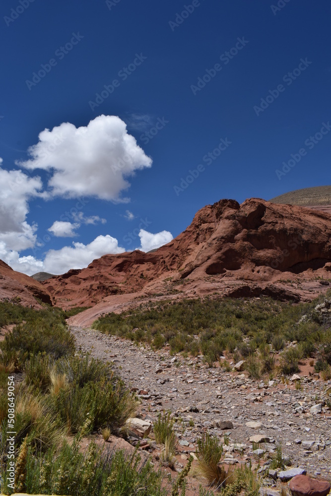 Fototapeta premium En la montaña