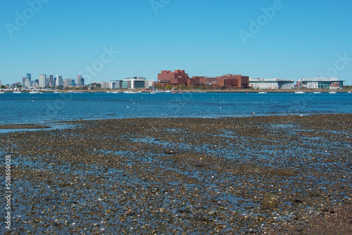 Boston skyline viewed from Squantum park Quincy MA USA photo