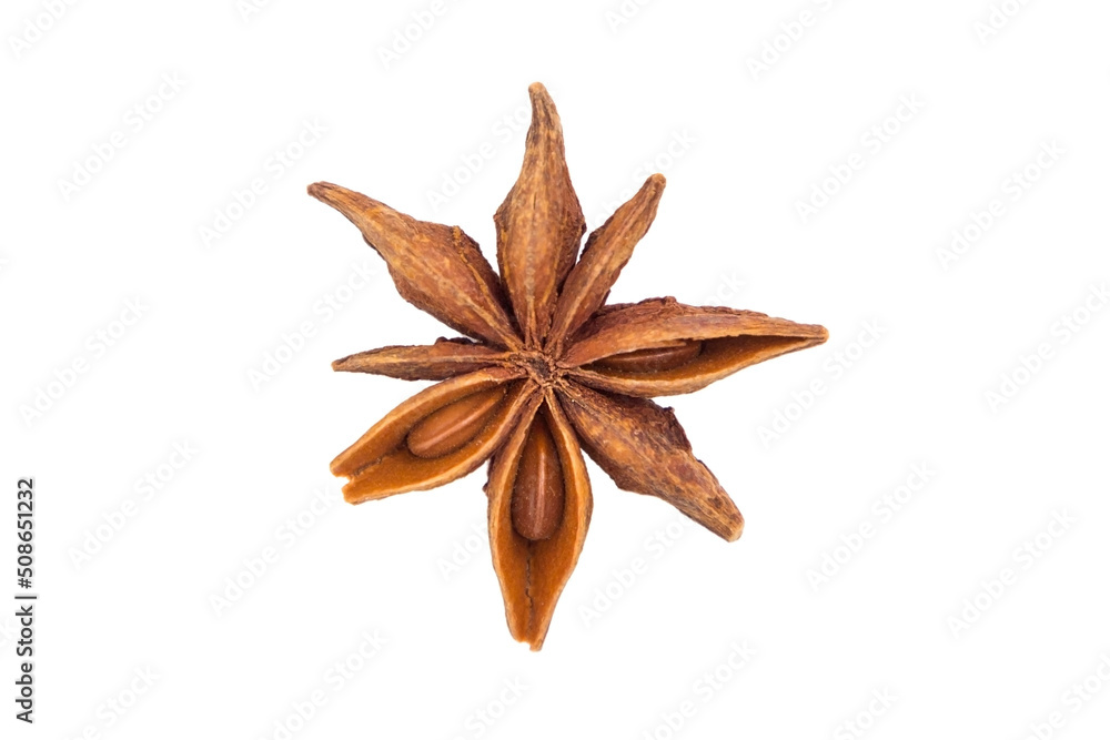 A seed in the form of a star on a white background A seed in the form of a star on a white background