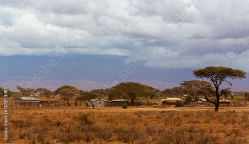 Trees and traditional houses in savannah. Kenya