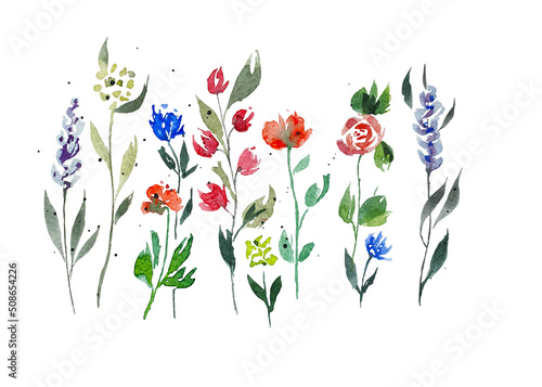 Set of watercolor rose design elements, flowers, leaves, twigs, shoots, branches, botanical illustration isolated on white background