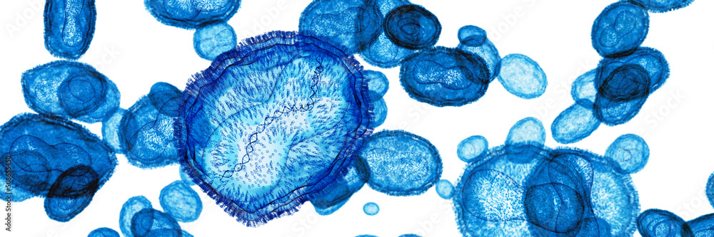 Pox, monkeypox or poxviridae virus flow, one virus showing the DNA inside. 3d visualization on white background - obrazy, fototapety, plakaty 