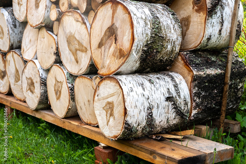 Large birch logs for firewood stacked to dry on top of each other, and around nature and grass.