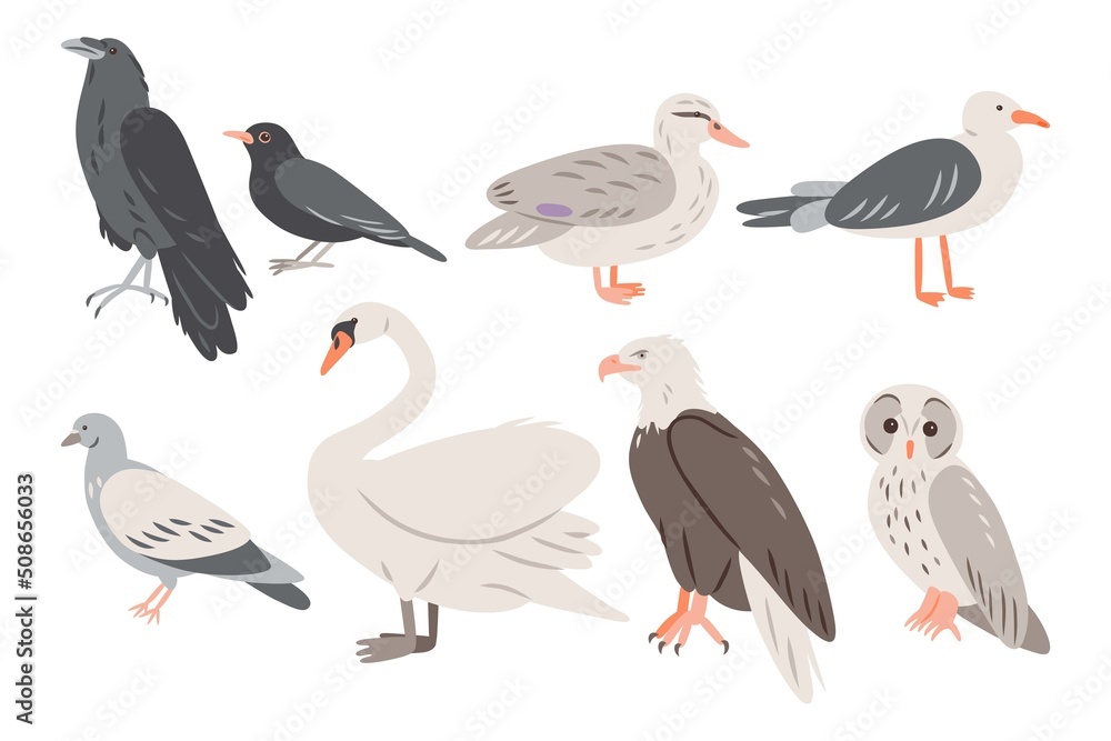 Set of different birds, vector doodle illustration, raven, swan, owl, eagle, pigeon, duck, seagull, blackbird Set of different birds, vector doodle illustration, raven, swan, owl, eagle, pigeon, duck, seagull, blackbird