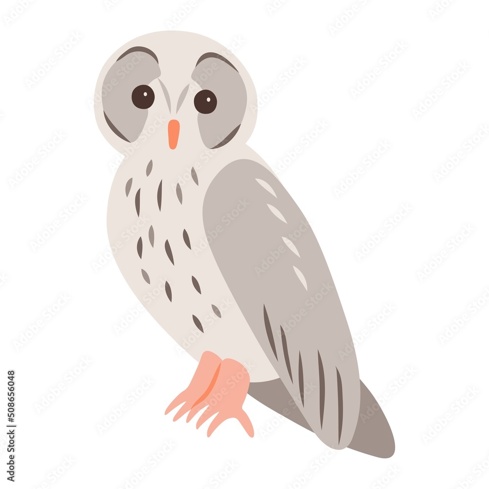 Vector illustration of an owl bird, isolated Vector illustration of an owl bird, isolated