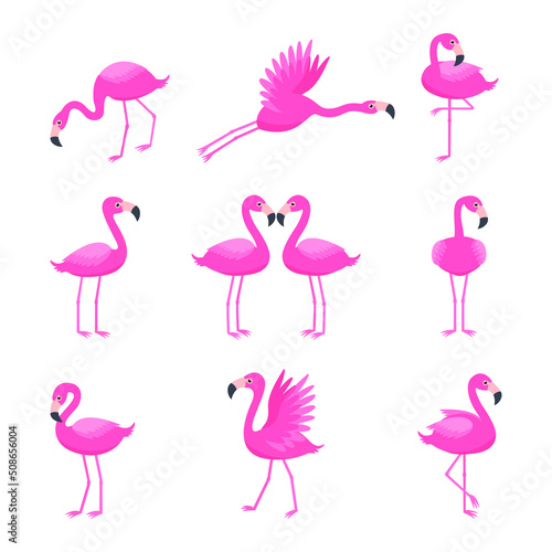 Set of pink flamingos with different postures © Halyna
