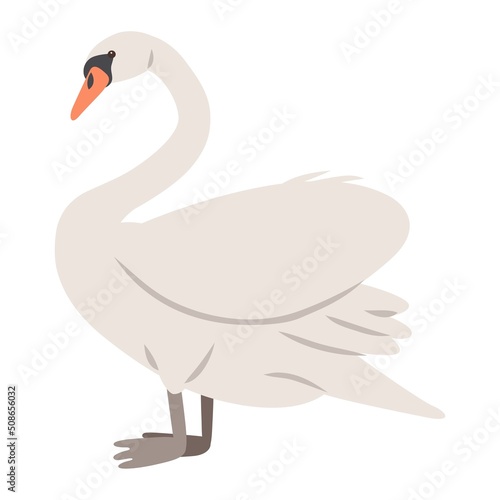 Vector illustration of a swan bird, isolated