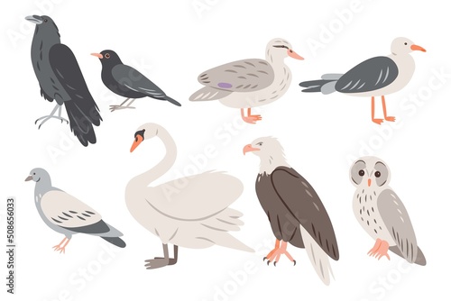 Set of different birds  vector doodle illustration  raven  swan  owl  eagle  pigeon  duck  seagull  blackbird