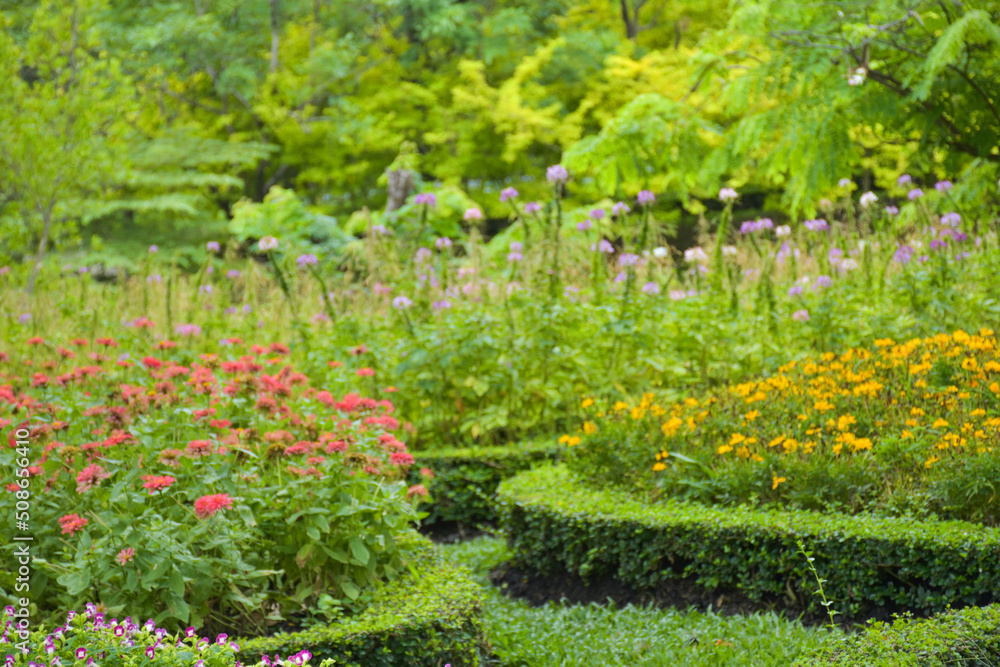 The decoration of the flower garden is beautiful and colorful in the beautiful Chatuchak garden. The decoration of the flower garden is beautiful and colorful in the beautiful Chatuchak garden.