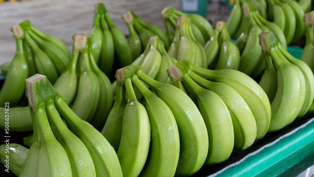 Fresh bananas in factory ready to export 3