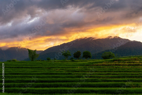 Morning panorama in green rice fields and sunrise on Mount Baris Kemumu, Bengkulu, Indonesia