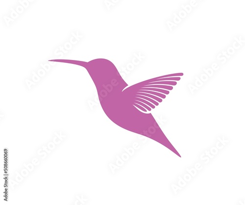Hummingbird logo. Isolated hummingbird on white background