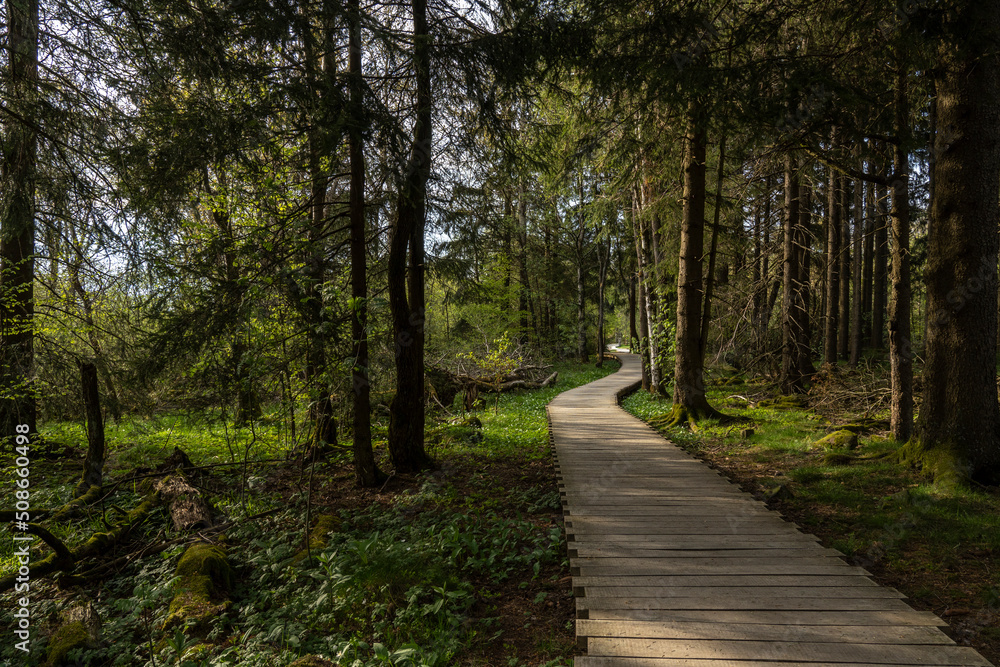 Holzsteg im Schwarzen Moor bei Fladungen/Rhön Holzsteg im Schwarzen Moor bei Fladungen/Rhön