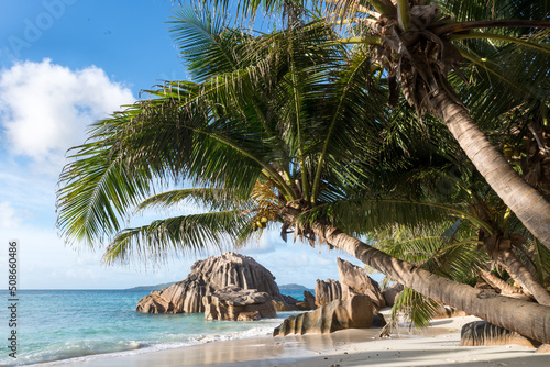 Little beach with palms at the Seychelles.