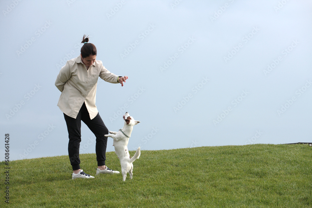 Girl gives tasty patches of dog treats to a white dog on the background of the sky