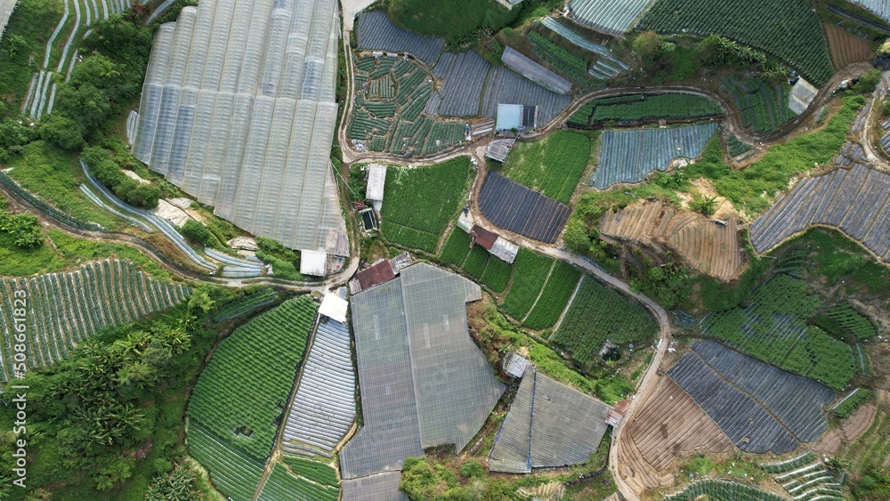 Fototapeta premium General Landscape View of the Brinchang District Within the Cameron Highlands Area of Malaysia