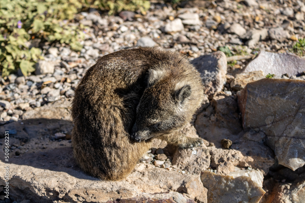 Naklejka premium HOLIDAY IN South Africa