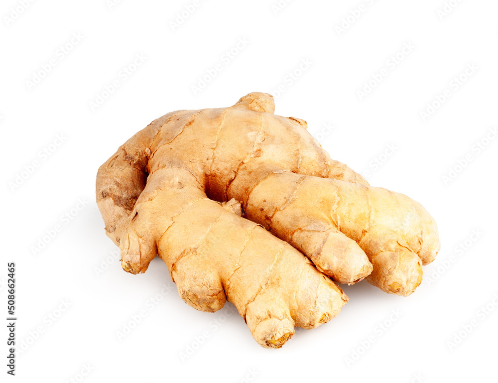 Ginger root isolated on a white background Ginger root isolated on a white background