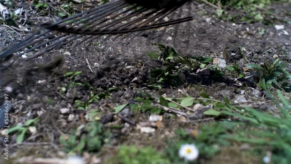 Rusty Rake Being Used On Rubble In Garden. Low Angle Shot. Locked Off Rusty Rake Being Used On Rubble In Garden. Low Angle Shot. Locked Off