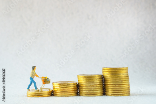Miniature people : man go shopping / buying with cart on stack of gold coins, spending money for supermarket goods concept