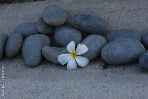 stones and frangipani flower