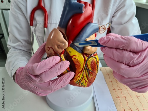 Obraz na plátně Doctor holds scalpel and concept of cardiac surgery